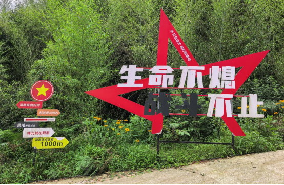 简报:雅安市教育基金会党支部开展“坚守初心,践行宗旨”主题教育活动345.png